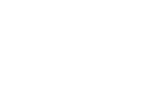 Product 25 avior rokah logo