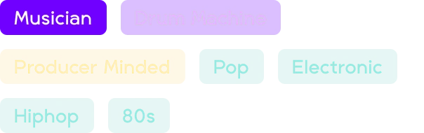 Product 28 tiger beats tags